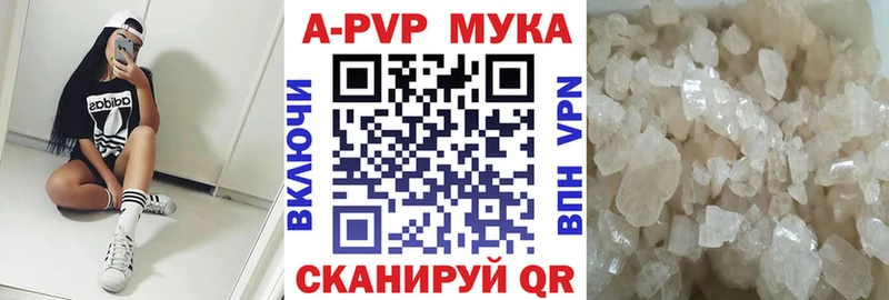 как найти закладки  Канаш  Альфа ПВП СК 
