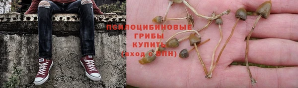хмурый Бородино