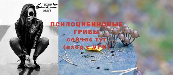 хмурый Бородино