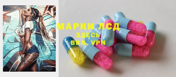 хмурый Бородино