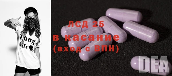 хмурый Бородино