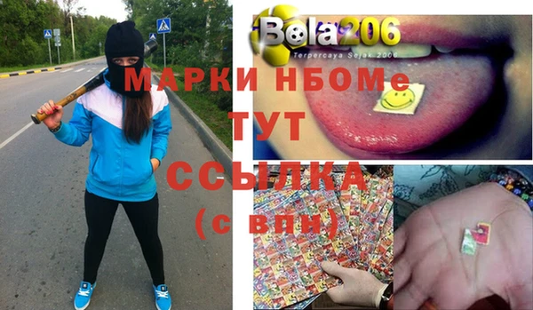 шишки Белокуриха