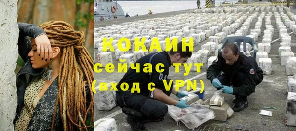 шишки Белокуриха