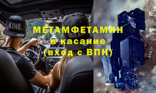 шишки Белокуриха