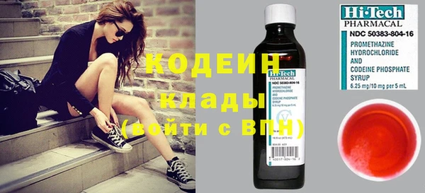 шишки Белокуриха