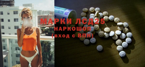 хмурый Бородино