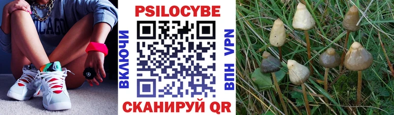 это состав  Канаш  Псилоцибиновые грибы Cubensis 